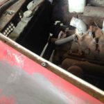 Cforcar Facel Vega Restoration 84